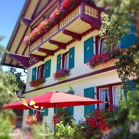 Sonnenhof - Ferienwohnung Oberstaufen Oda fotoğraf